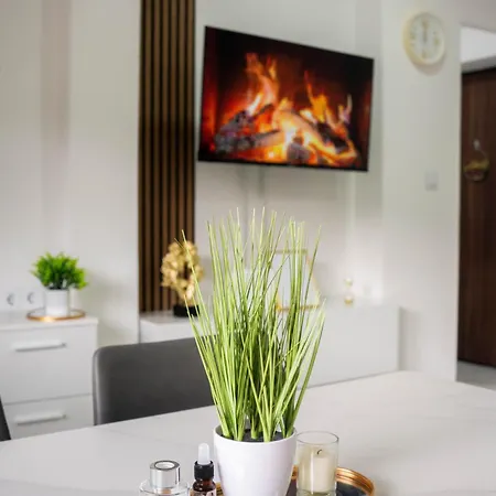 Apartment Cozy In *